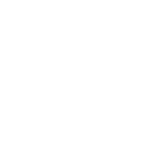 Goose and Gander